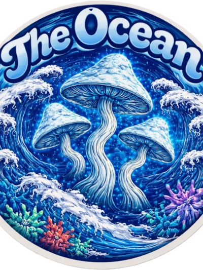 The Ocean