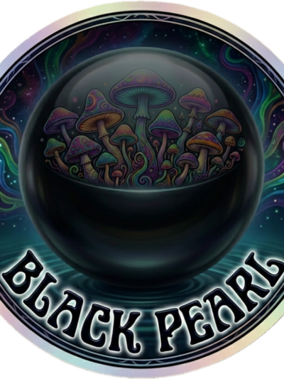 Black Pearl 90mm Colonized Research Plate