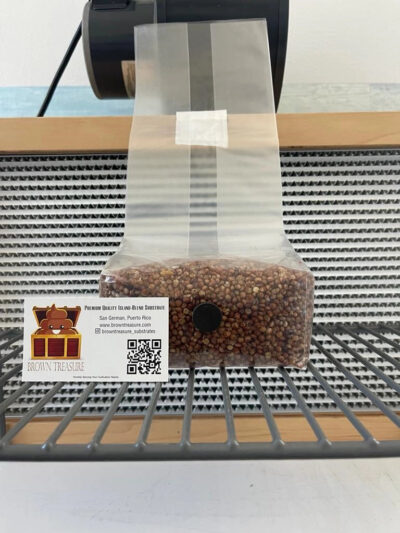 Sterilized, Mushroom Grain Spawn (2lb Bag)