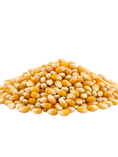 Grain - popcorn