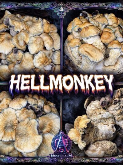 HELLMONKEY (Hellhound x SpaceMonkey) - Colonised Plate 90mm