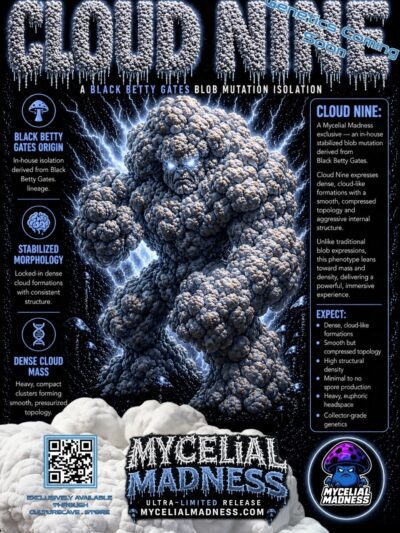 Cloud Nine - Black Betty Gates Origin - Research Plate