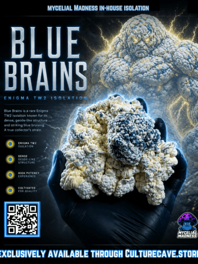 Blue Brains - (Enigma TW2 iso) Research Plate