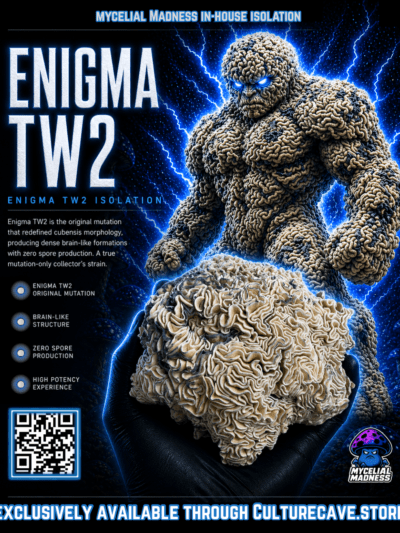 Enigma TW2 - Research Plate