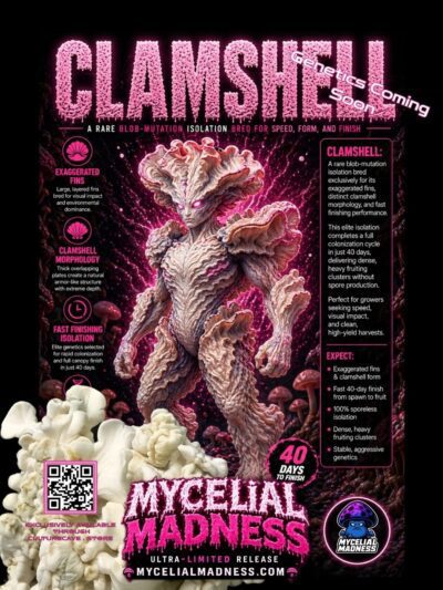 Clamshell - Research Plate