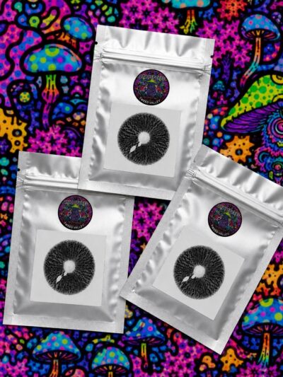 Wild Foraged Spore Prints – Premium Microscopy Specimens
