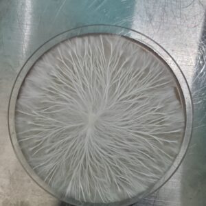Thrasher Research Plate 100mm