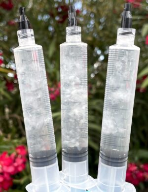 Isolated Spore Syringes - Sonoran Spores
