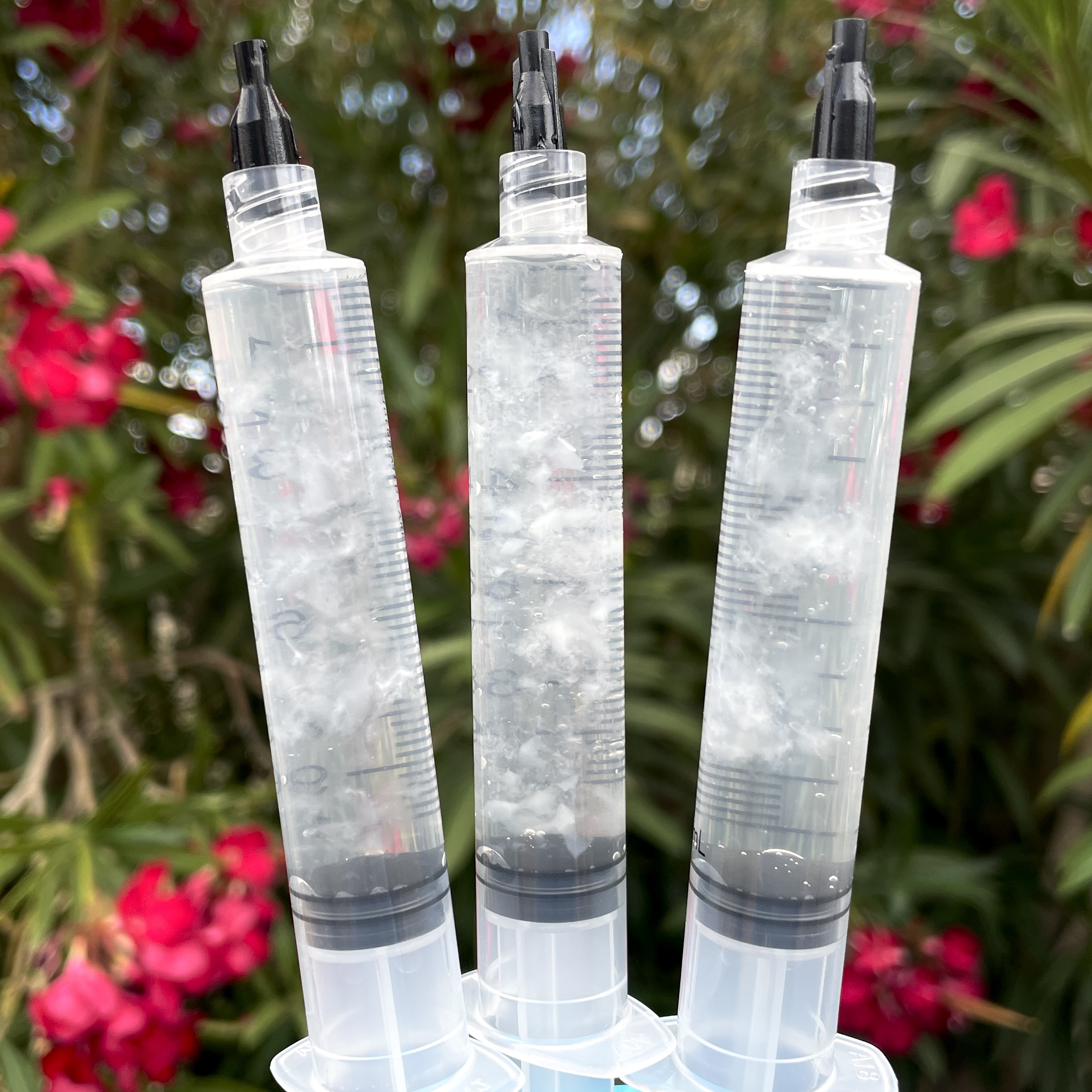 Isolated Spore Syringes - Sonoran Spores