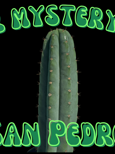 2 Mystery San Pedro Cuttings