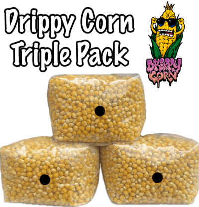 Sterilized Drippy Corn | 3 lbs | Triple Pack
