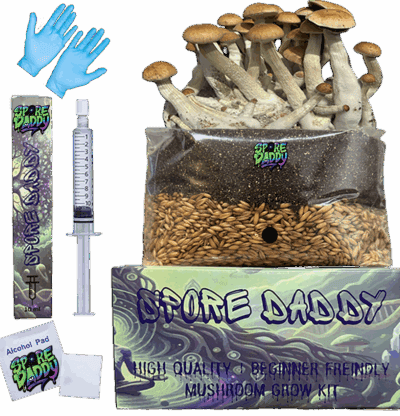 Spore Daddy’s Mushroom Grow Kit | Sterilized Bulk Manure Substrate & Hydrated Oats