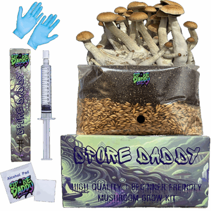 Spore Daddy’s Mushroom Grow Kit | Sterilized Bulk Manure Substrate & Hydrated Oats
