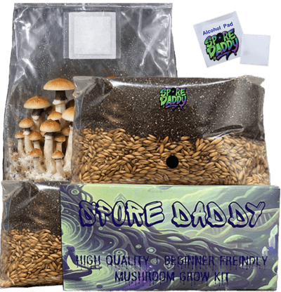 Mushroom Grow Bag | 4 lbs | Manure/Oats