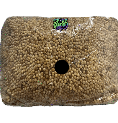 3 lbs sterilized millet grain bag.