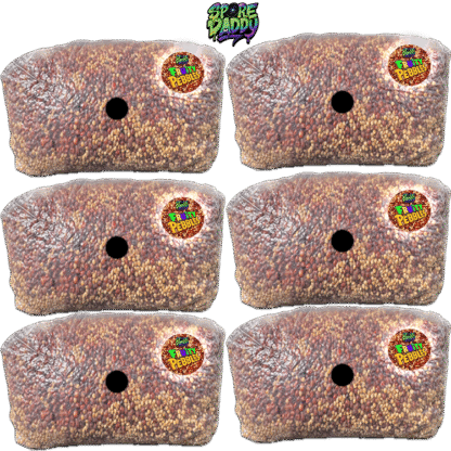 (6 pack) Milo & Millet Sterilized Grain Bags W/ Injection ports