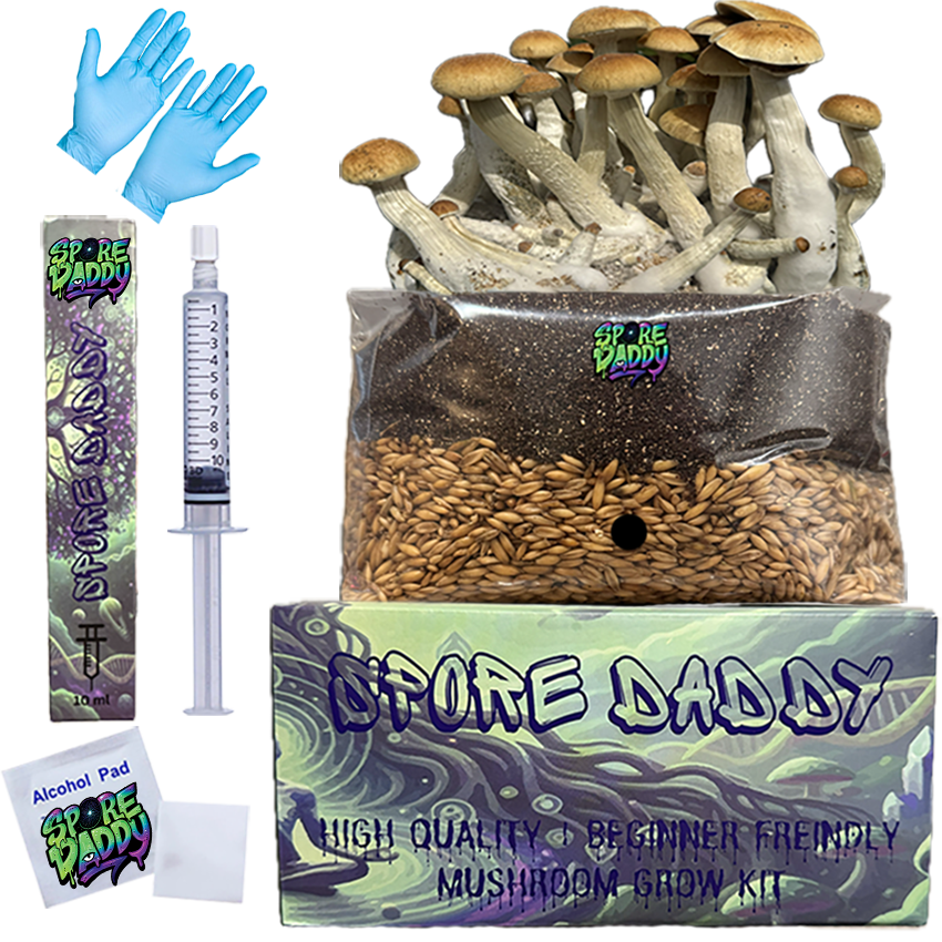 Spore Daddy’s Mushroom Grow Kit | Sterilized Bulk Manure Substrate & Hydrated Oats