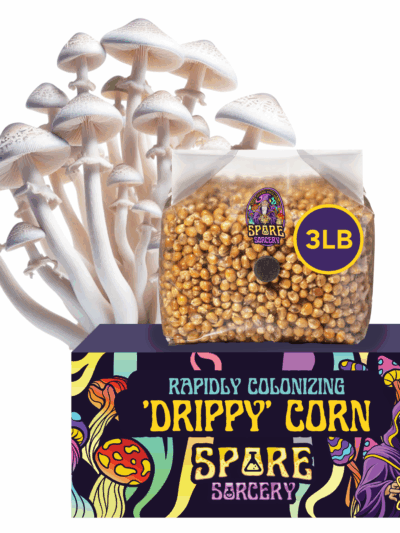 3lb Drippy Corn Grain Spawn