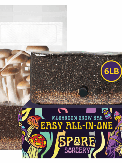 Mushroom Grow Kit In Bag (Spores Not Included)