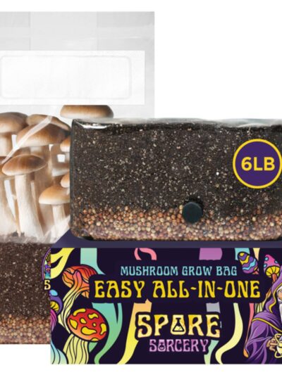 6 lb All-in-One Mushroom Grow Kit In Bag (Spores Not Included)