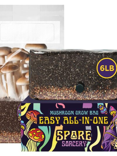6lb All-In-One Mushroom Grow Kit In Bag (Spores Not Included)