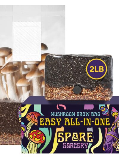2 Pack 2lb All-In-One Mushroom Grow Kit In Bag (Spores Not Included)