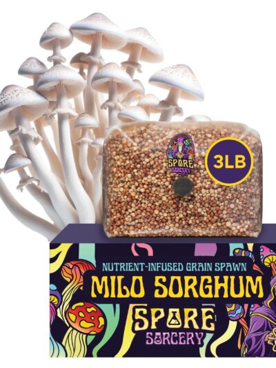3lb Milo Sorghum Grain Spawn