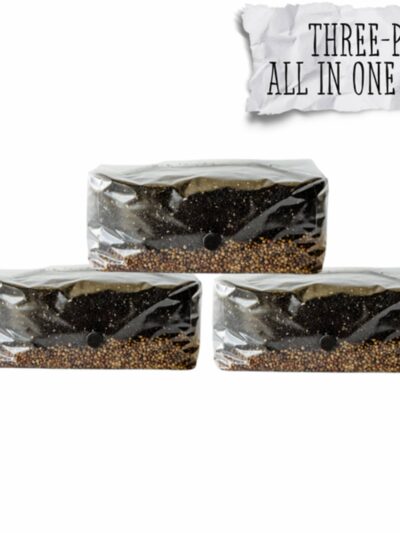 3 Pack | 6 lb All-in-One Mushroom Grow Kit In a Bag | Spores Not Included