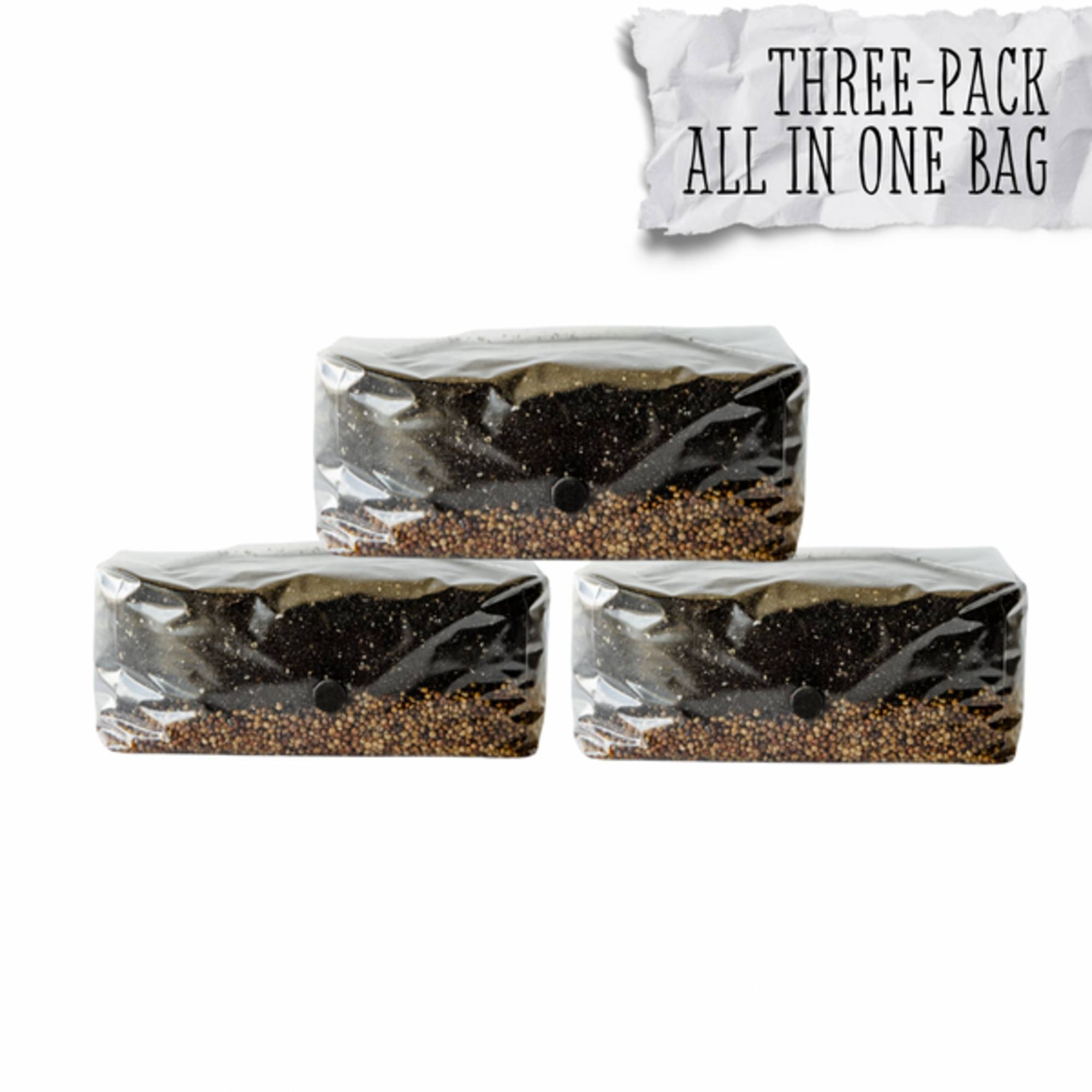 3 Pack | 6 lb All-in-One Mushroom Grow Kit In a Bag | Spores Not Included