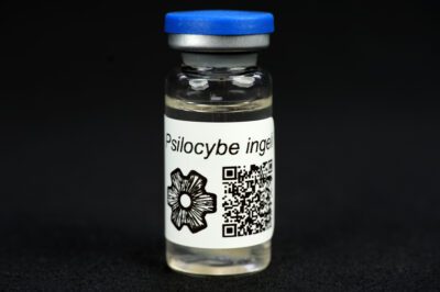 Psilocybe ingeli : MycoTrue(TM) Vial