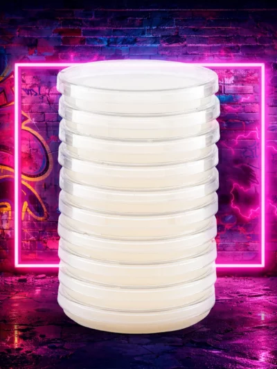 Water Agar Plates