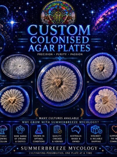 Cubensis AGAR PLATES