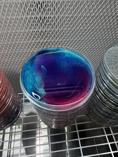 Astral Agar