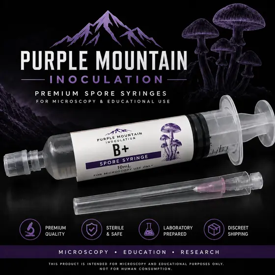 B+ by Purple Mountain Inoculation