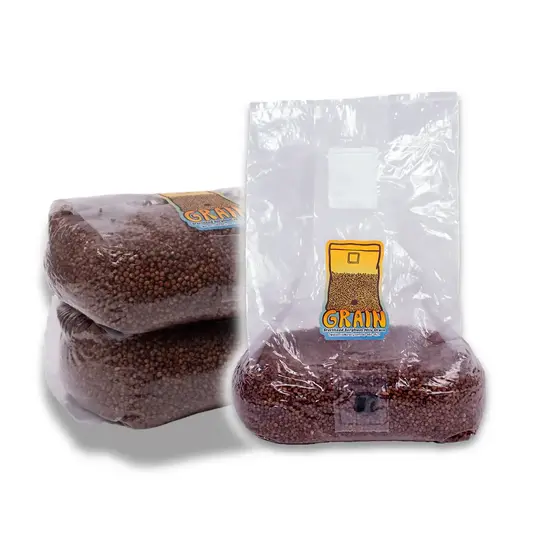 Sterilized Sorghum Milo Grain