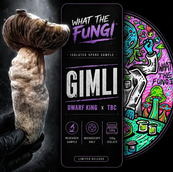 GIMLI (Dwarf King x TBC) 10cc Isolated Spore Sample by What The Fungi