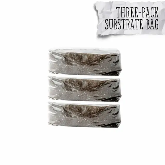 3 Pack | 5lb Mystic Blend CVG Amended Bulk Substrate | 15lbs total! | FREE SHIPPING