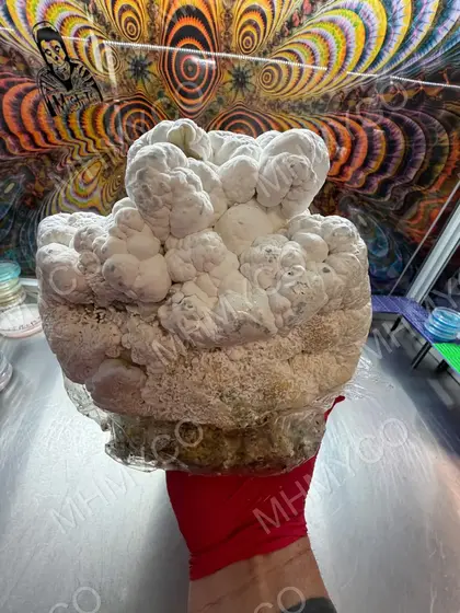 Enigma Cloud