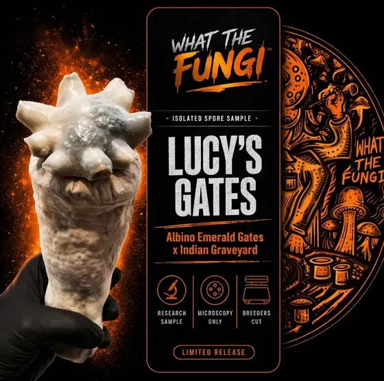 LUCY'S GATES (IG x AEG) 10cc Isolated Spore Sample by What The Fungi