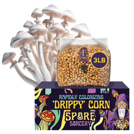 3lb Drippy Corn Grain Spawn | FREE SHIPPING