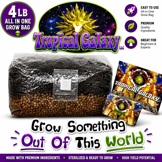4lb All in One Mushroom Grow Bag