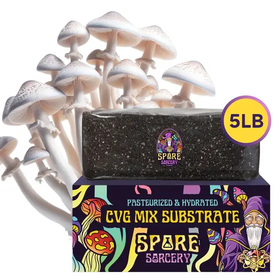The Sorcerer's Mystic Blend Premium CVG Bulk Substrate 5lb | FREE SHIPPING