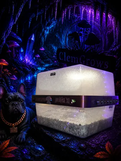 DubTek XL