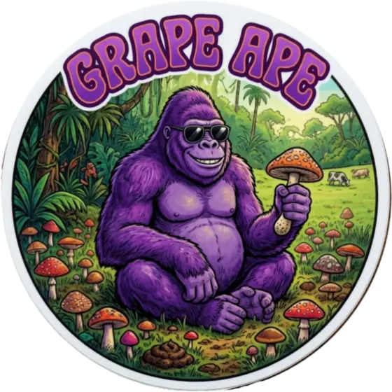 Grape Ape 20ml Isolated spore Syringe by Black Forest Cultures