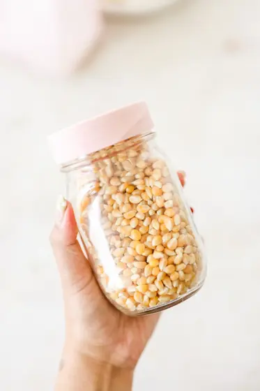 Starter Kit - Grain by CB Shroomy