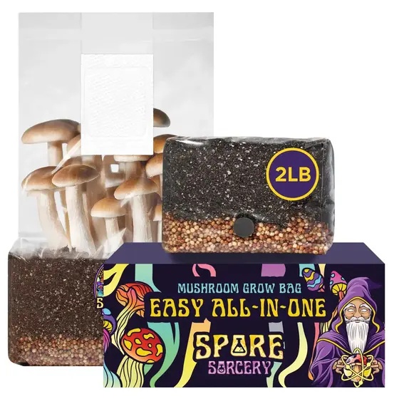 2lb All-In-One Mushroom Grow Kit In Bag (Spores Not Included) | FREE SHIPPING