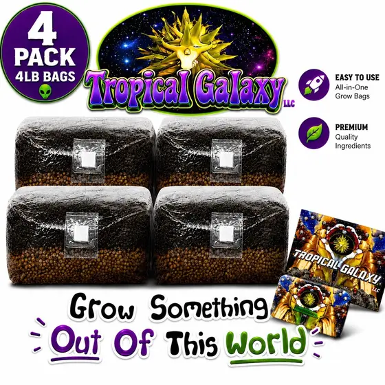 4x4lb All In One Mushroom Grow Bag, Nutrient Enriched Coco, Science is Magic