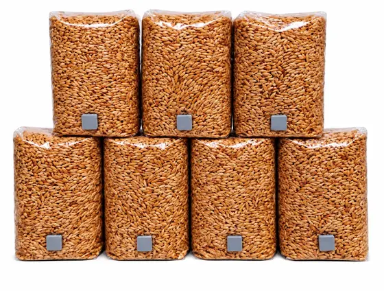 STERILIZED GRAIN BAGS 1KG by Aus Myco Kingdom