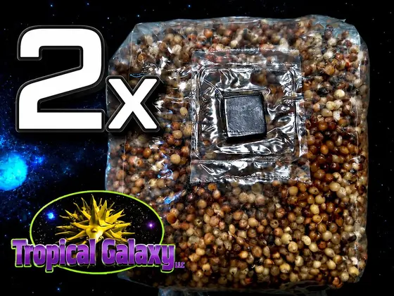 2x 2lb Grain