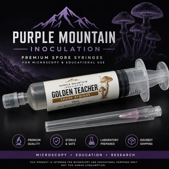 Golden Teacher by Purple Mountain Inoculation